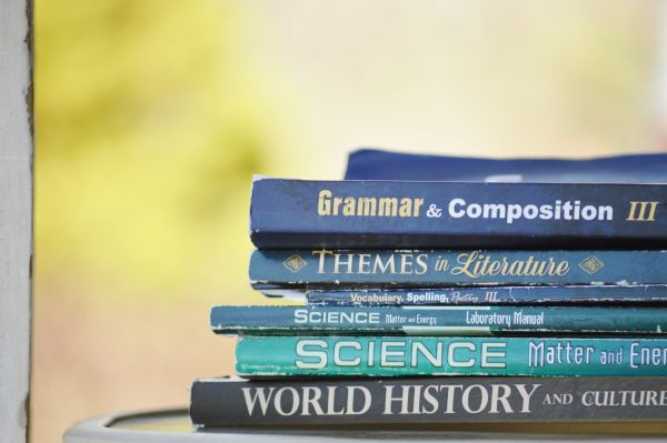 Types d'anglais à découvrir : lequel choisir pour votre besoin ?